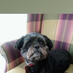 Meet your Posher, Jane